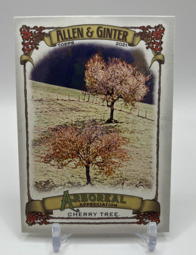 2021 topps allen - topps, ginter