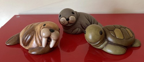 Thun tartaruga foca - tartaruga,