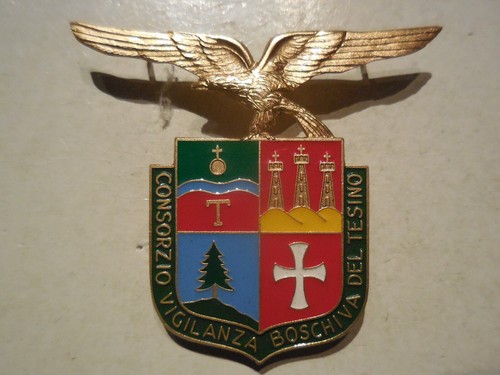 Distintivo fregio cappello - distintivo,