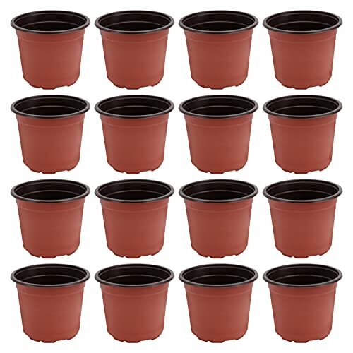 Doitol set 50 - set, per