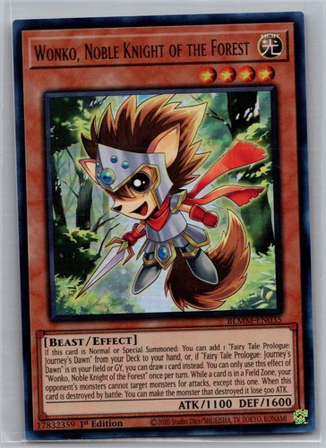 Wonko nobile cavaliere della - wonko,,