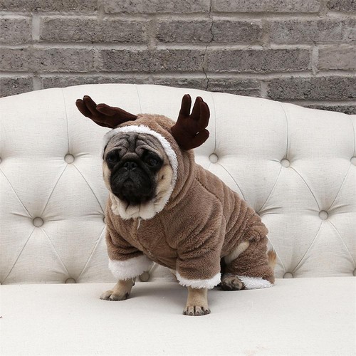 Maglia per cani maglioncino - per,