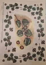 Foglio carta riso  per