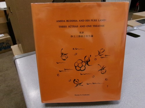 Amida buddha his pure - buddha,