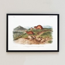 Vintage Lemmings 1847 Antique