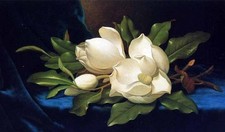 Olio Martin Johnson Heade -