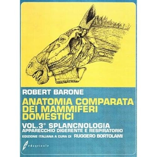 Anatomia comparata dei