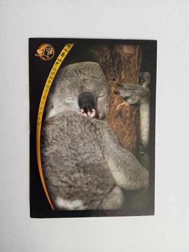 Figurina animal champions - animal,