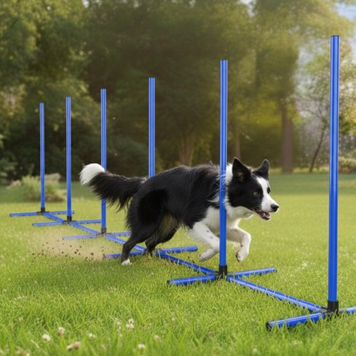 Weave poles hurdle - weave,