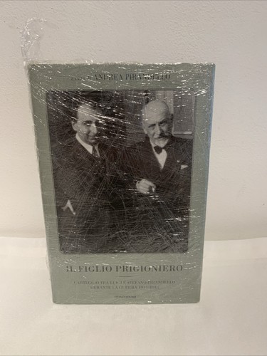 Figlio prigioniero - il,