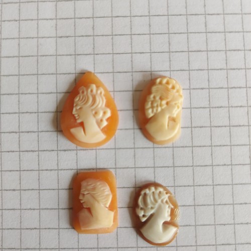 Cammeo camei cameos conchiglia - cammeo,