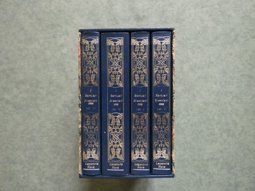 Santuari bresciani ed - i,
