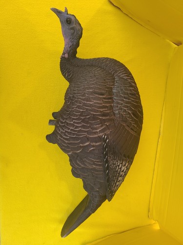 Dave smith decoys - dave,