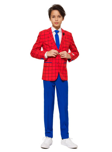Costume vestito uomo - , ragno