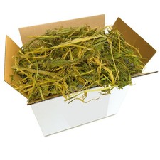 Erba medica 10kg - (alfalfa),