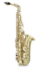 Sassofono Sax Alto Fa in