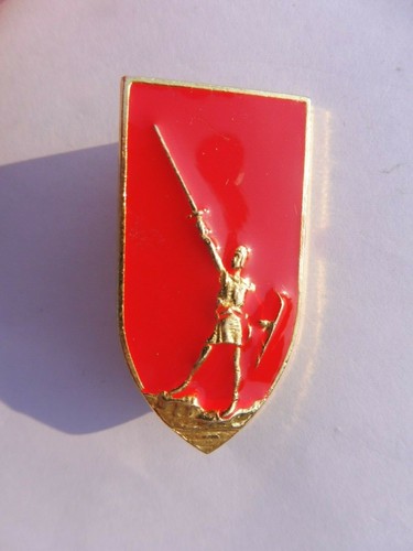 Distintivo combattenti - distintivo,