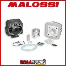 318734 GRUPPO TERMICO MALOSSI