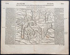 stampa antica Sebastian Munster pianta Roma Antica xilografia 1558