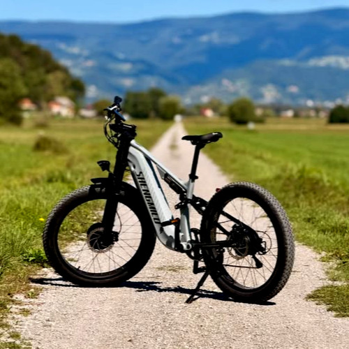 Bici elettrica 48v 25ah doppio - bici,