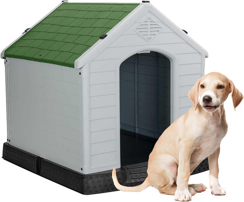 Cuccia per cani - cuccia,