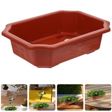  10 Pcs Vaso Bonsai Plastica