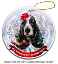 English Cocker Spaniel All