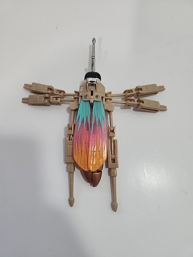 Zanzara insetto invasore - zanzara,