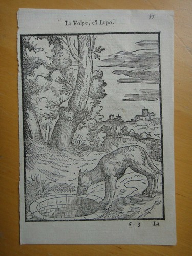 1607 volpe e l - volpe,, e'l