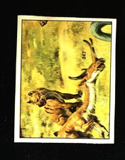 Animali Preistorici (1974)