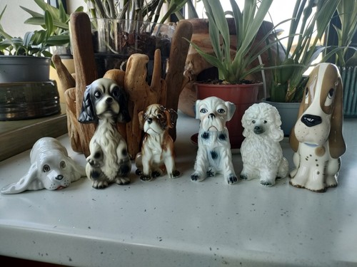 Sculture ceramica collezione - sculture,