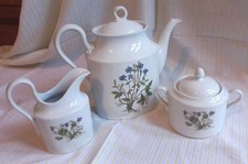 Set Té RICHARD GINORI teira