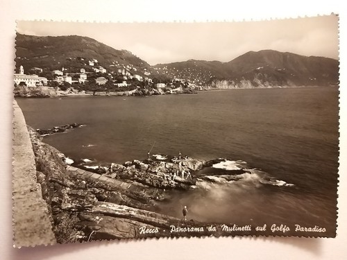 Recco panorama da - (genova).,