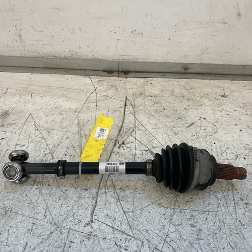 31607529202 semialbero ant - 31607529202,