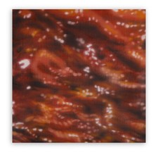 Dany VESCOVI, "Lab2 MgCn2", 2001, Olio su tela, cm 50x50x4 Bello e Pubblicato!