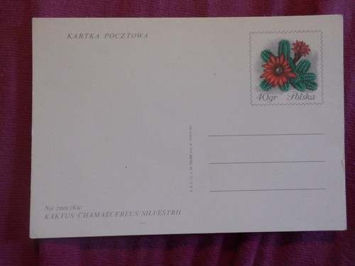 Intero postale polonia cactus - intero,
