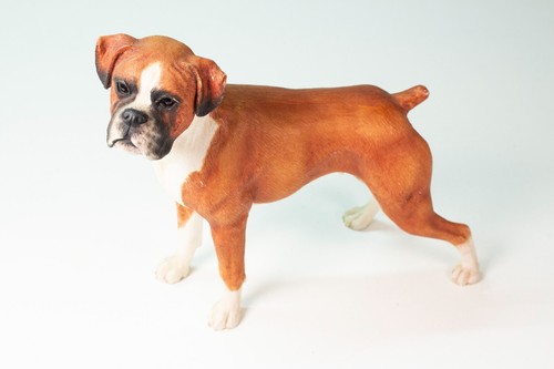Statua cane boxer belle arti