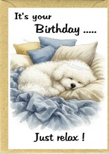 Biglietto Compleanno Bichon