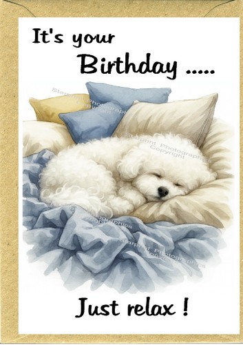Biglietto compleanno bichon - compleanno,