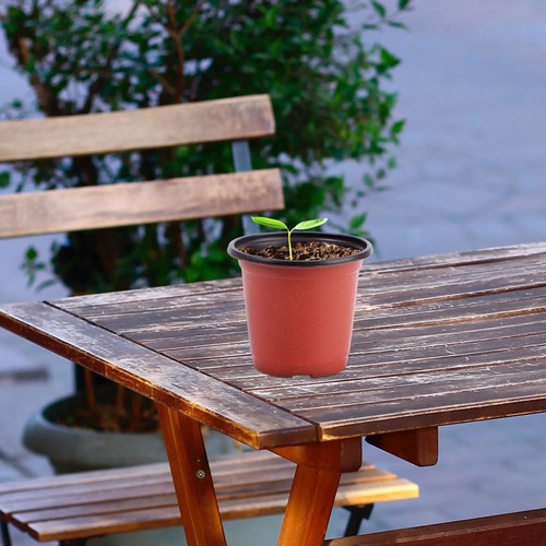 Pcs vaso per piante - vaso, unico