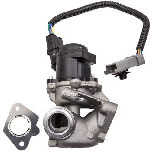 Egr valvola refrigerante - egr, valvola/refrigerante