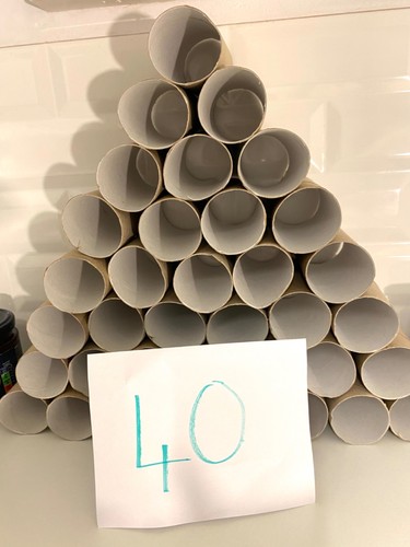 Rotoli loo piantine - 40,
