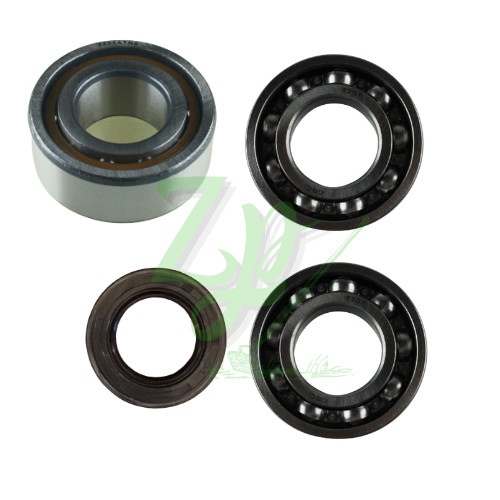 Kit cuscinetti paraolio - cuscinetti,
