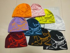 Freeshipping FW25 nuovo colore ARC'TERYX Bird Head TOQUE berretto autentico nuovo senza etichette