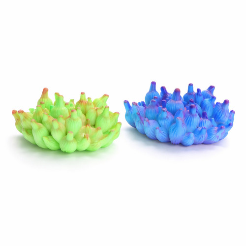 Nobleza corallo fluorescente - nobleza,