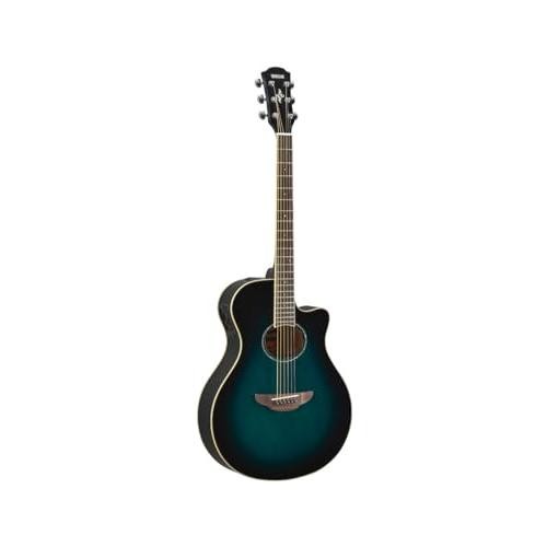 Chitarra acustica elettrica