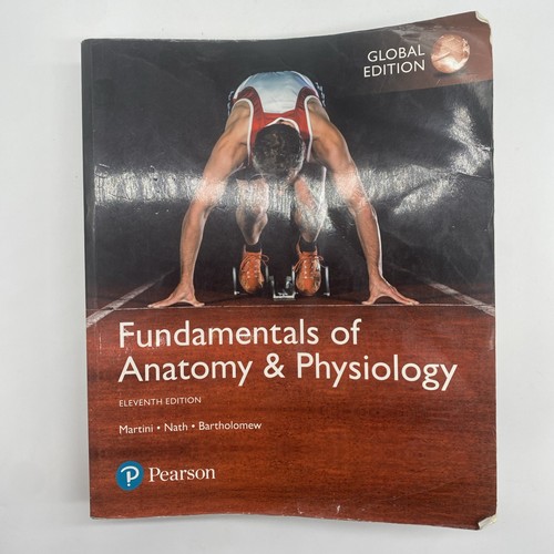 Fundamentals anatomy and - anatomy,