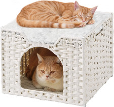 Cubo per Gatti da Interno