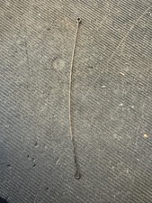 Tamiya Vintage Celica Grb