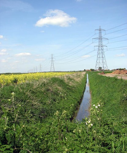 Photo 6x4 drain - photo, through